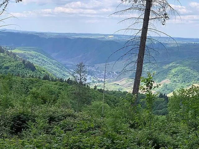 Quellenweg 公寓 Grenderich